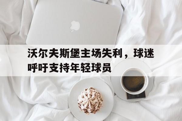 沃尔夫斯堡主场失利，球迷呼吁支持年轻球员